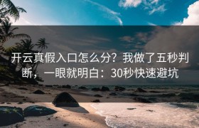 开云真假入口怎么分？我做了五秒判断，一眼就明白：30秒快速避坑
