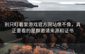 别只盯着爱游戏官方网站像不像，真正要看的是群邀请来源和证书
