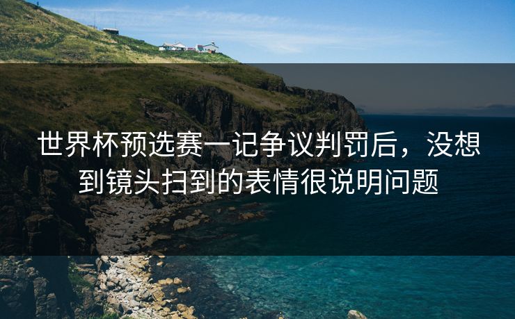 世界杯预选赛一记争议判罚后，没想到镜头扫到的表情很说明问题