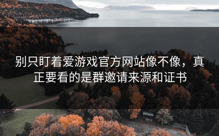 别只盯着爱游戏官方网站像不像，真正要看的是群邀请来源和证书